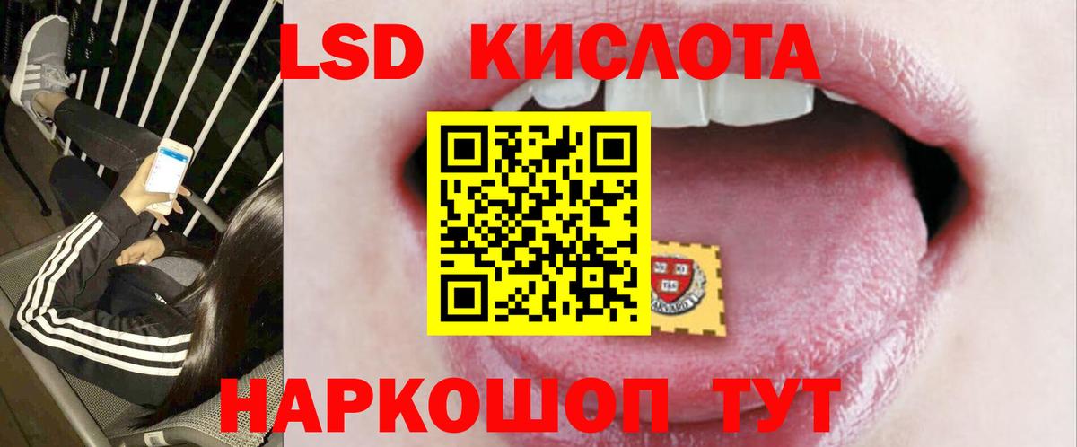 Новозыбков  Лсд 25 экстази кислота  Вход с VPN 