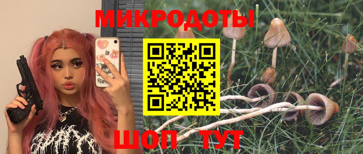 Псилоцибиновые грибы прущие грибы  Вход с VPN  Новозыбков 